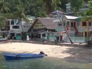 Buck divje mov sabang plaža puerto galera filipini