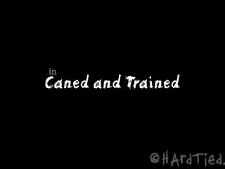 Caned And Trained