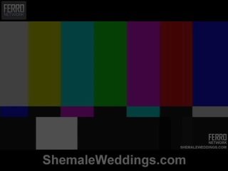 Shemale Weddings Proudly Presents Senna, Camile, Patricia_bismarck In X rated movie Scene