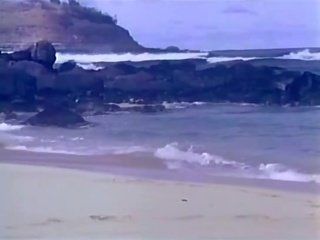 अदरक लिन, ron jeremy - surf, sand & xxx चलचित्र - एक थोड़ा बिट की hanky panky